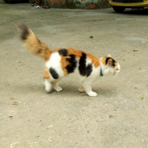 สมาชิกหมายเลข 3542580