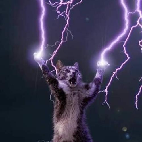 สมาชิกหมายเลข 5317227