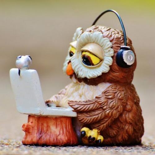 ตามนั้นเลย