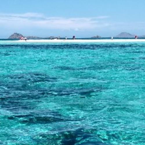 สมาชิกหมายเลข 2728517