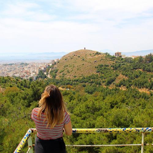 สมาชิกหมายเลข 6377892