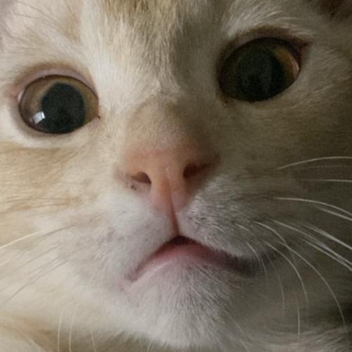 สมาชิกหมายเลข 5939100