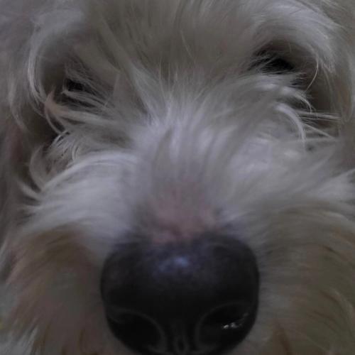 สมาชิกหมายเลข 7837204