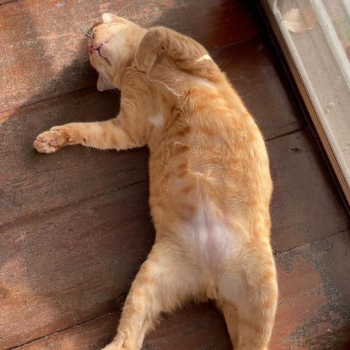 สมาชิกหมายเลข 1470995