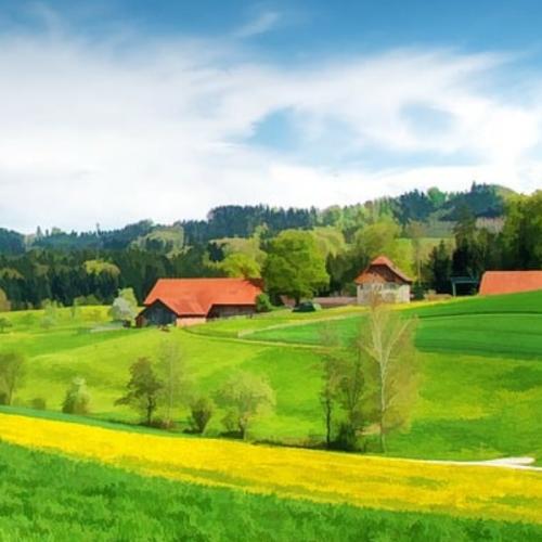 สมาชิกหมายเลข 7488670