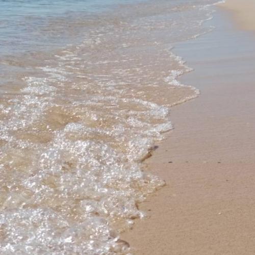 สมาชิกหมายเลข 8823714