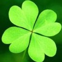 สมาชิกหมายเลข 1010611