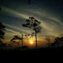 สมาชิกหมายเลข 4021964