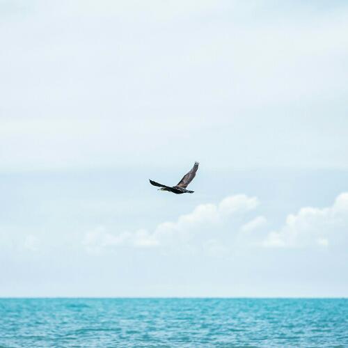 สมาชิกหมายเลข 2856396