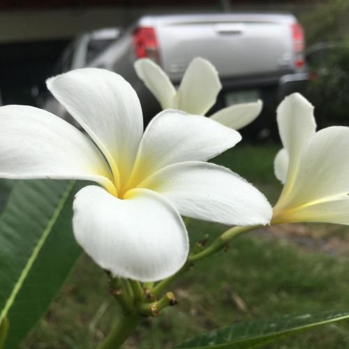 สมาชิกหมายเลข 4575901