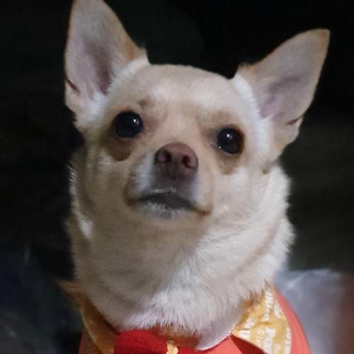 สมาชิกหมายเลข 1925005