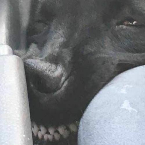 สมาชิกหมายเลข 5779587