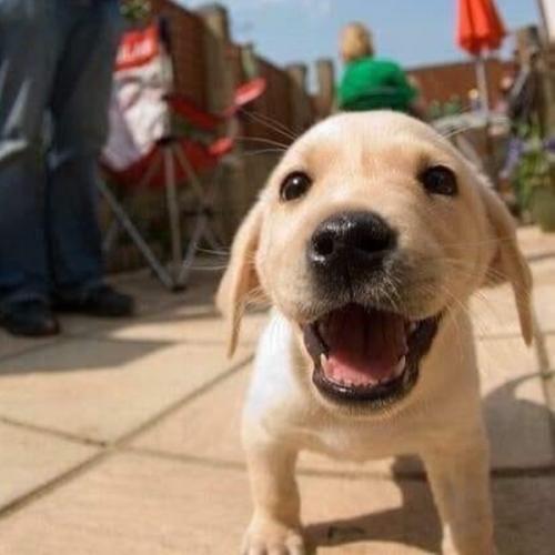 สมาชิกหมายเลข 5779849