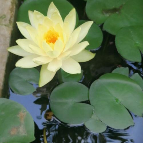 สมาชิกหมายเลข 3956694