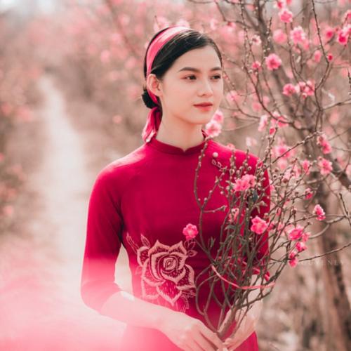 สมาชิกหมายเลข 6378048