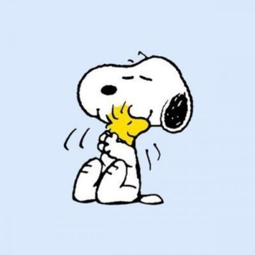 สมาชิกหมายเลข 6378428