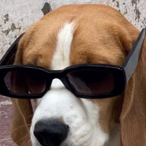 สมาชิกหมายเลข 6070164