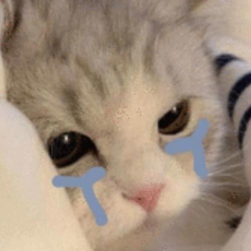 สมาชิกหมายเลข 7831178