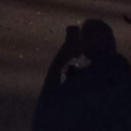 สมาชิกหมายเลข 7183332