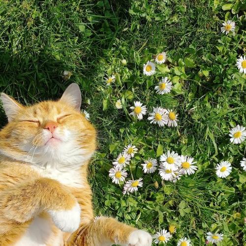 สมาชิกหมายเลข 8824030