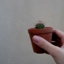 สมาชิกหมายเลข 3702949