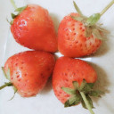 สมาชิกหมายเลข 4575764