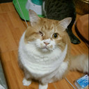 สมาชิกหมายเลข 746646