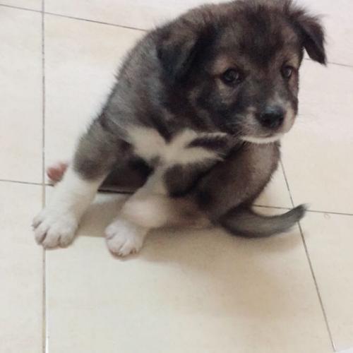 สมาชิกหมายเลข 4919172