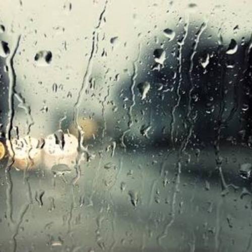 สมาชิกหมายเลข 4919213