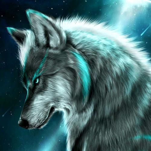 สมาชิกหมายเลข 4919435