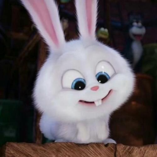 สมาชิกหมายเลข 5318155