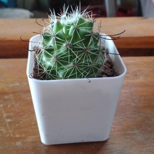 สมาชิกหมายเลข 3998048