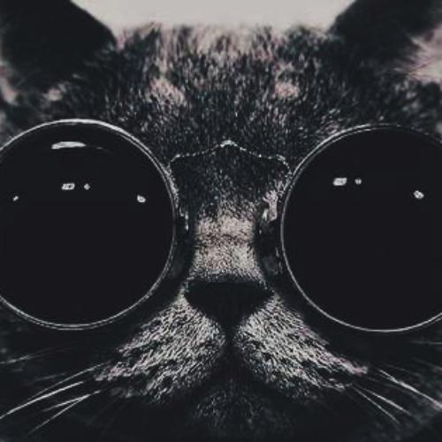 สมาชิกหมายเลข 5708306