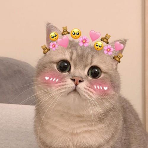 สมาชิกหมายเลข 7065490