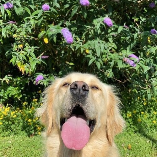 สมาชิกหมายเลข 7066101