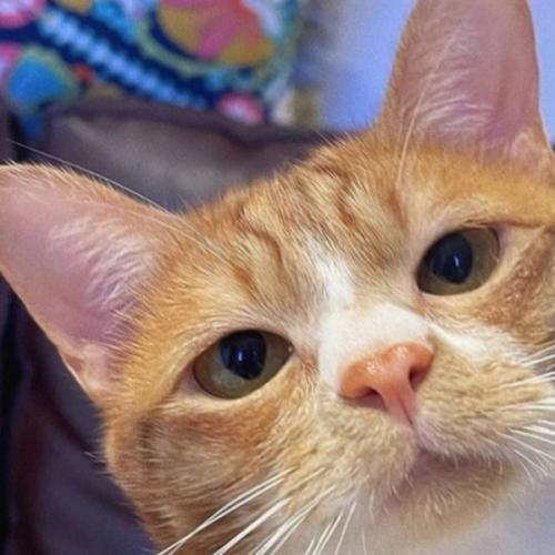 สมาชิกหมายเลข 5533497