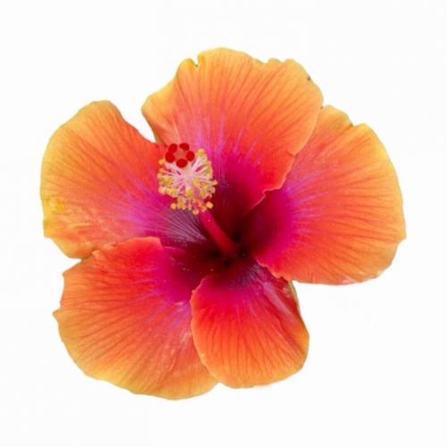 สมาชิกหมายเลข 7903623