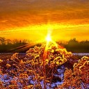 สมาชิกหมายเลข 3449642