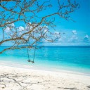 สมาชิกหมายเลข 4164989