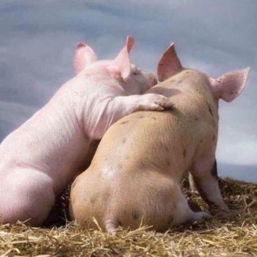 สมาชิกหมายเลข 5778942