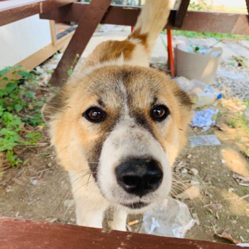 สมาชิกหมายเลข 5780670