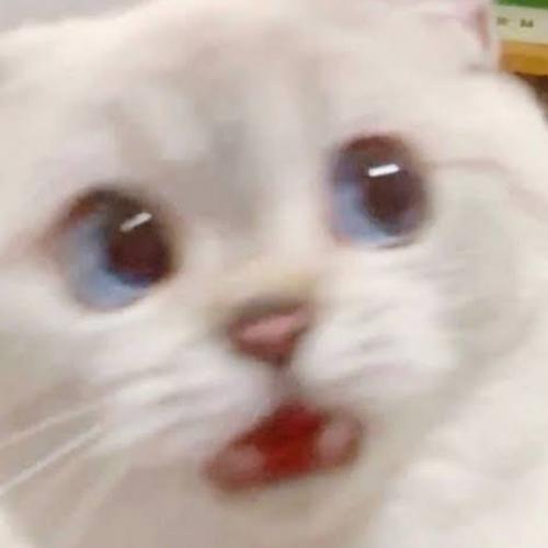 สมาชิกหมายเลข 4568187