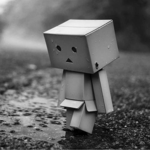 สมาชิกหมายเลข 6379547