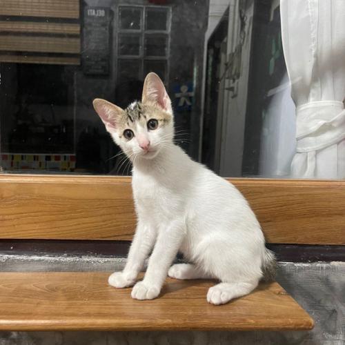 สมาชิกหมายเลข 4826164