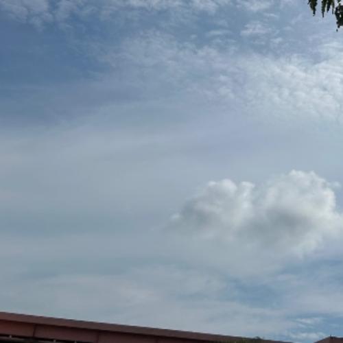 สมาชิกหมายเลข 6259764