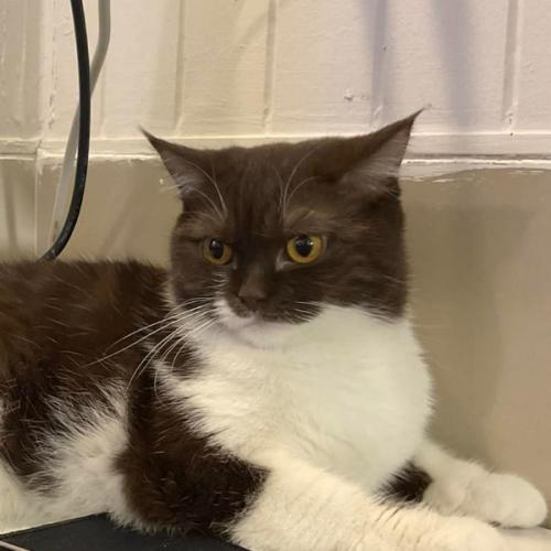 สมาชิกหมายเลข 6882150