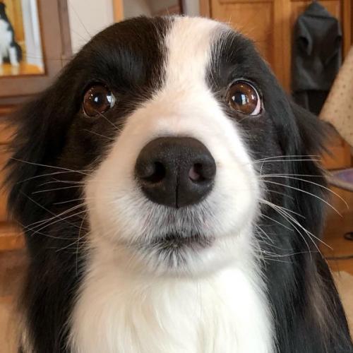 สมาชิกหมายเลข 7808799