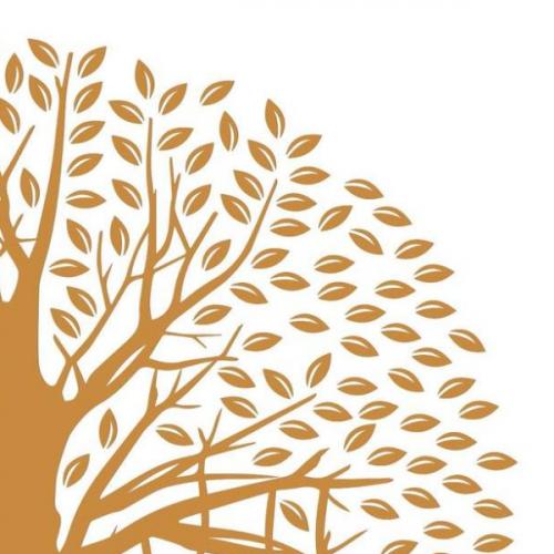 สมาชิกหมายเลข 7833177