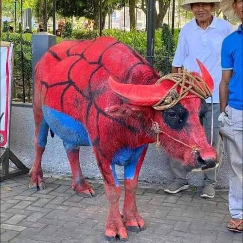 สมาชิกหมายเลข 7840090