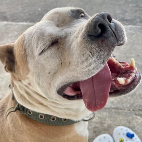 สมาชิกหมายเลข 3235688